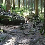 Σπίτι διακοπών Cosy In The Harz Region