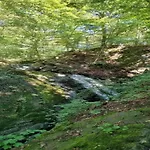 Сasa de vacaciones Cosy In The Harz Region *