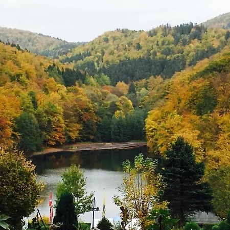 Cosy In The Harz Region Holiday home *