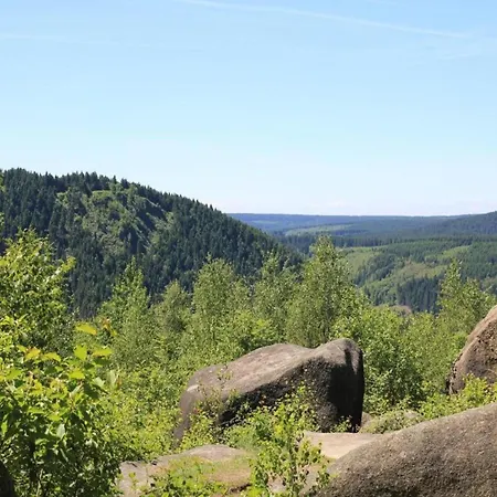 Cosy In The Harz Region Prázdninový dům *