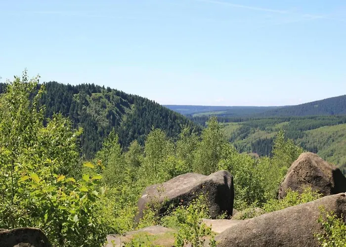 Cosy In The Harz Region *
