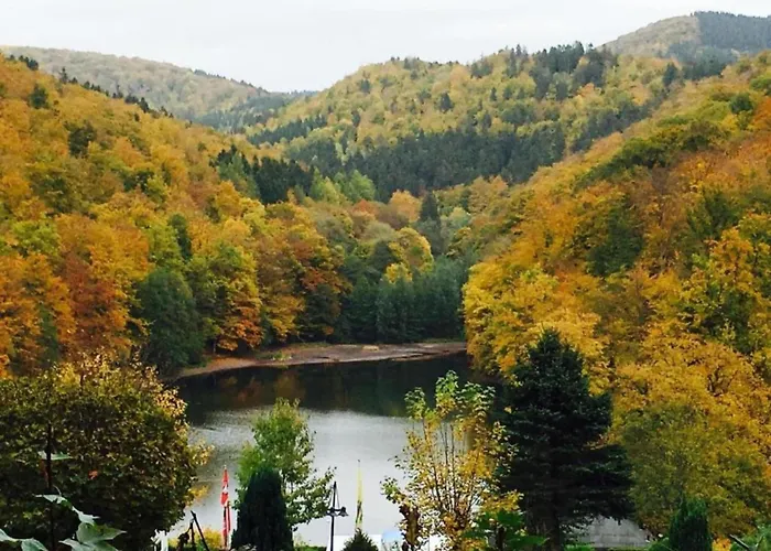 Cosy In The Harz Region Dom wakacyjny *